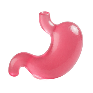 3D stomach icon
