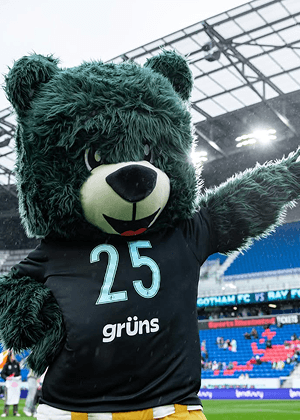 Grüns community 1
