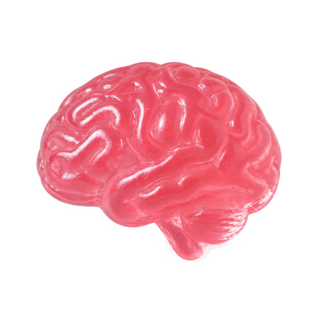 3D brain icon