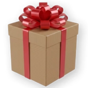 Mystery Gift