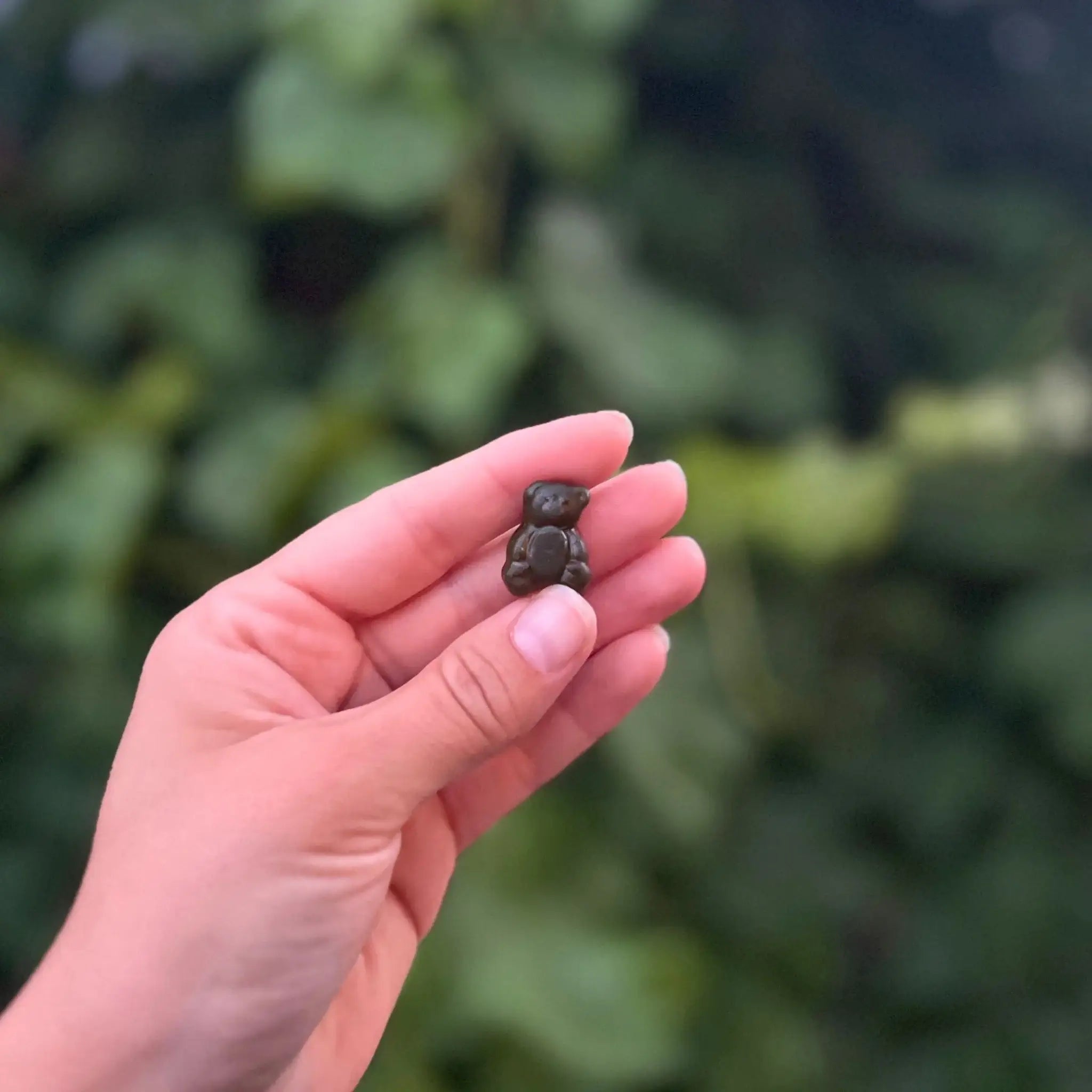 Hand holding a small, dark teddy bear-shaped object outdoors.